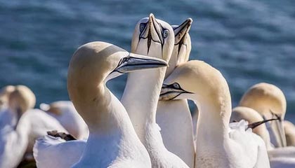 秀我中国｜“苏超”泰州队队员殷国斌：有些热爱，永远不会过期！