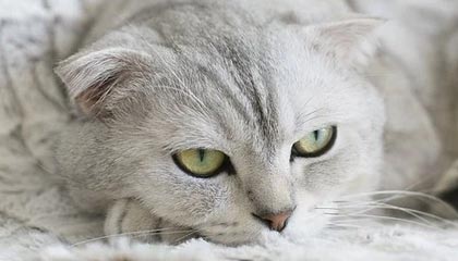 秀我中国｜“苏超”泰州队队员殷国斌：有些热爱，永远不会过期！